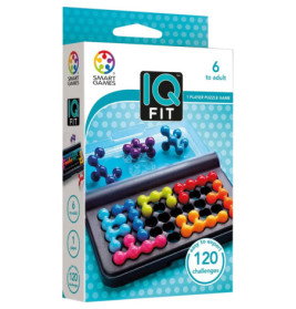 smart Games IQ Fit