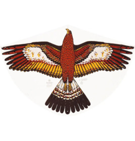 Günther Einleinerdrachen Goldadler, 92x62cm