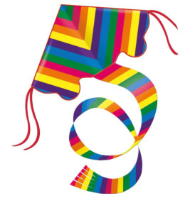 Günther Einleinerdrachen Rainbow, 97x58cm