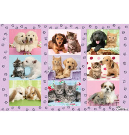 Schmidt Spiele Puzzle Meine Tierfreunde  100 Teile