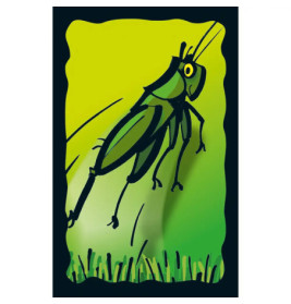 Schmidt Spiele Schummel Hummel