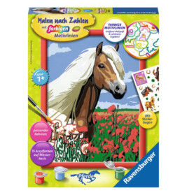 Ravenburger 28652 Malen nach Zahlen Haflinger Malen nach Zahlen Serie Pferd