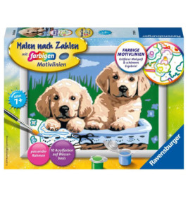 Malset-Box mit Motiv: Zwei Welpen in einer Wanne, im Vordergrund Farbtöpfe und Pinsel.