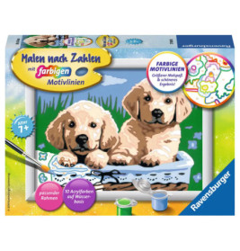 Ravensburger 27839 Malen nach Zahlen Süße Hundewelpen Malen nach Zahlen Serie E
