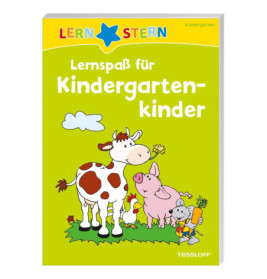LERNSTERN Lernspaß für Kindergartenkinder