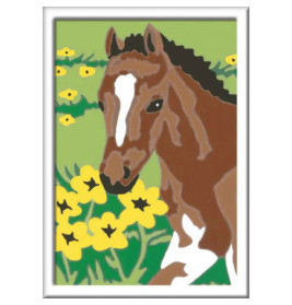 Ravenburger 28463 Malen nach Zahlen Fohlen Malen nach Zahlen Serie F