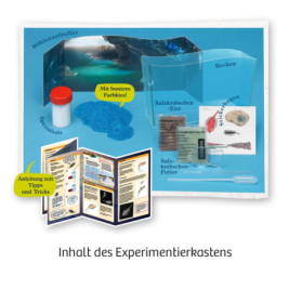 Fun Science Wuselnde Salzkrebse