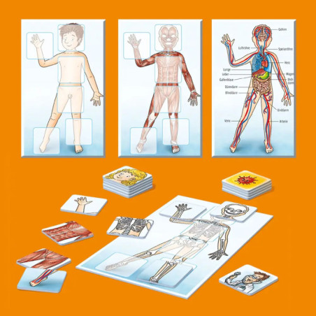 WAS IST WAS Junior - Mein Körper WAS IST WAS Junior - Mein Körper