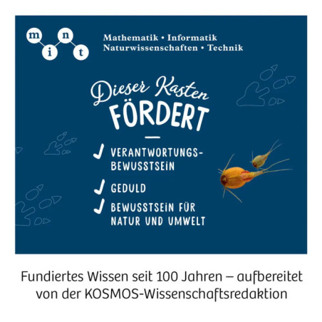 Triops-Welt 2019 Triops-Welt 2019