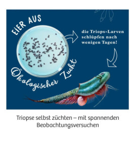Triops-Welt 2019
