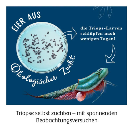 Triops-Welt 2019 Triops-Welt 2019