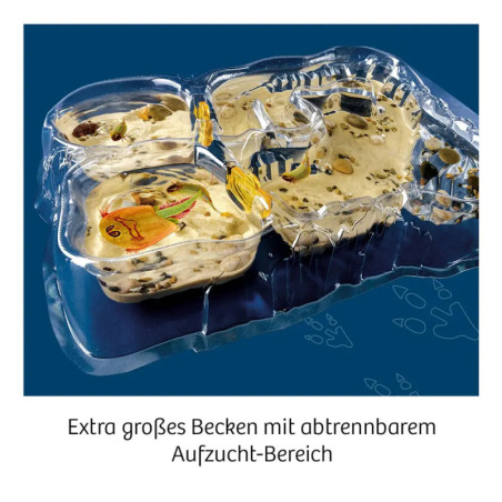 Triops-Welt 2019 Triops-Welt 2019