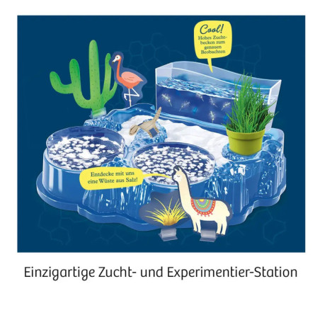 Salzkrebse züchten Salzkrebse züchten