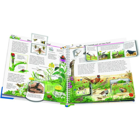 Ravenburger 32948 Wieso? Weshalb? Warum?, Band 71: Wir entdecken heimische Tiere WWW-Standard (ab 01/06)