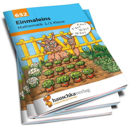 Einmaleins Mathematik 2./3. Klasse. Ab 7 Jahre., sortiert