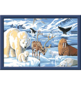 Ravenburger 28909 Malen nach Zahlen Tiere der Arktis Malen nach Zahlen Serie C