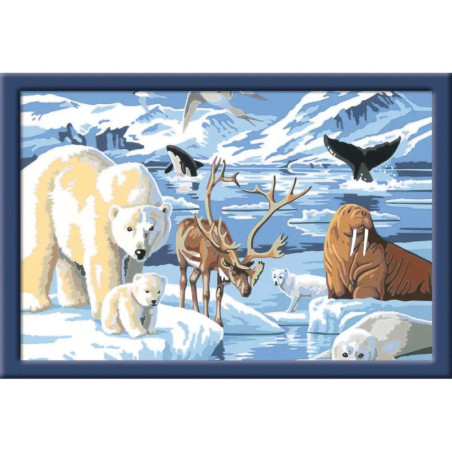 Ravenburger 28909 Malen nach Zahlen Tiere der Arktis Malen nach Zahlen Serie C