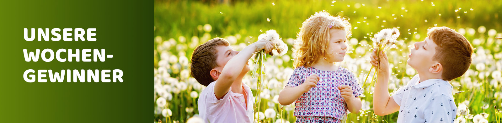 Unsere Wpchengewinner